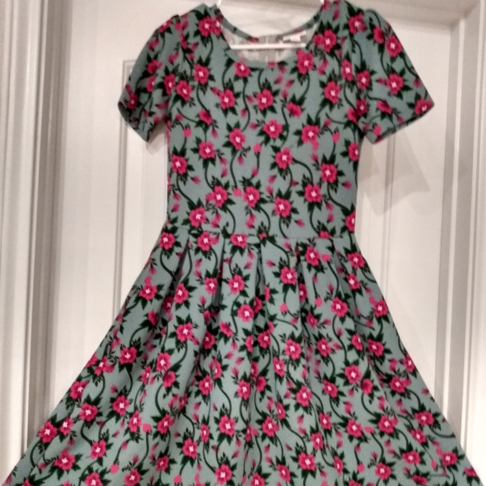 Gorgeous Lularoe Amelia Dress
